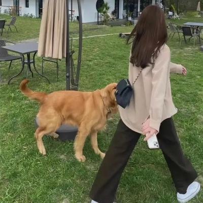 超异能冒险